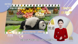 看黄色小说的软件